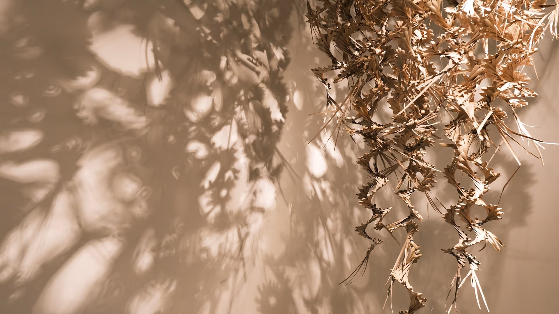 A ceiling installation of dried flowers and botanical sculptures casting dramatic shadows across a beige gallery wall.