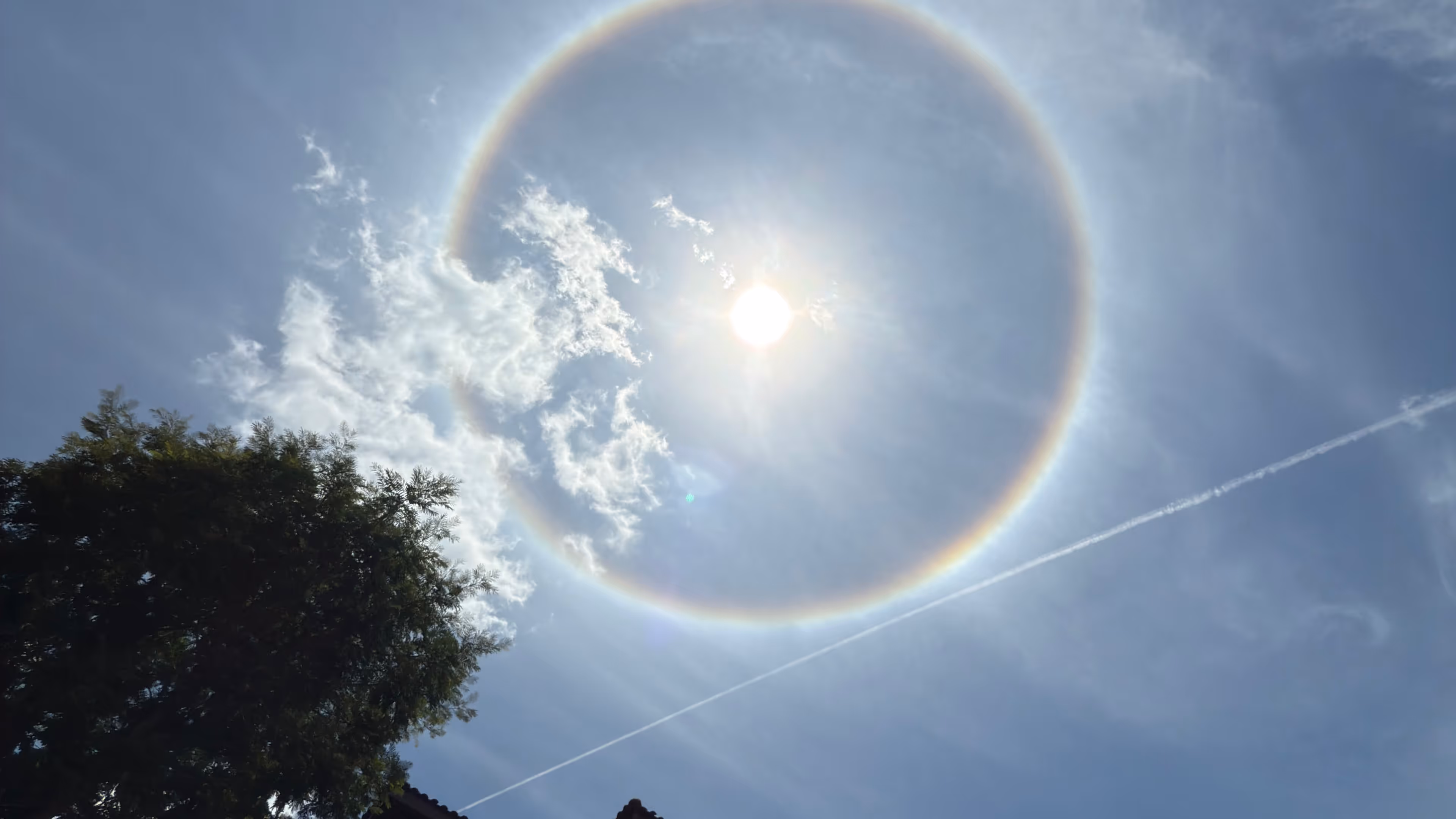 A wide-angle view of a glowing 22-degree solar halo forming a perfect circle of light around the sun, positioned above the silhouette of a tree and the sharp, geometric roofline of a building under a bright blue sky.