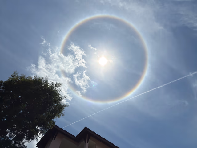 A wide-angle view of a glowing 22-degree solar halo forming a perfect circle of light around the sun, positioned above the silhouette of a tree and the sharp, geometric roofline of a building under a bright blue sky.
