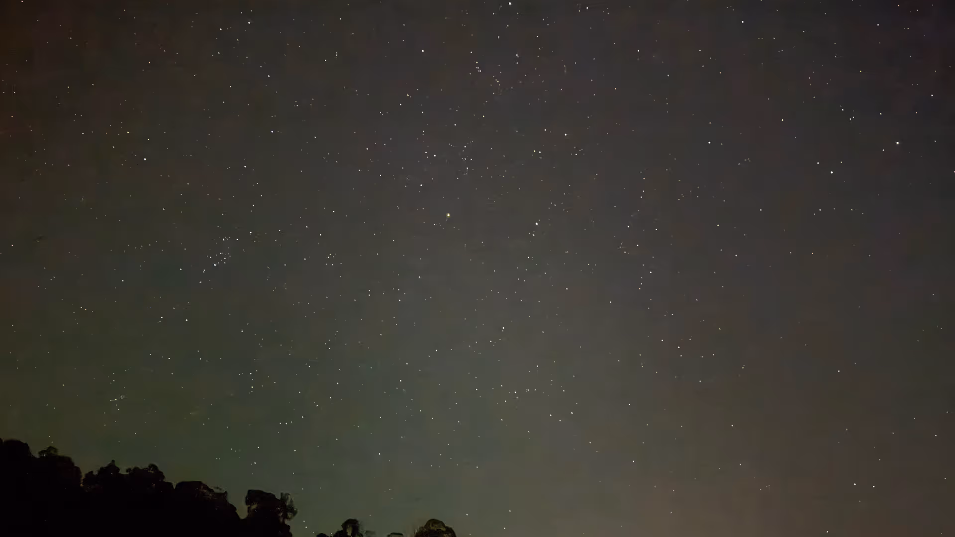 A clear night sky over Langkawi, packed with stars above a dark forest line.