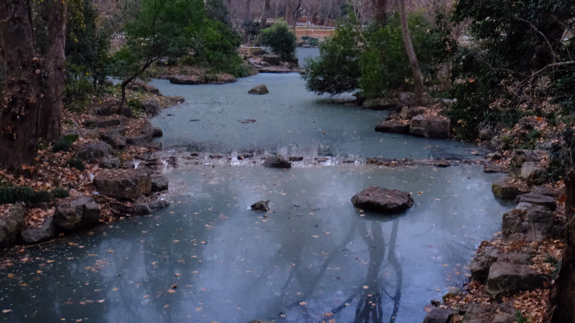 A partially frozen ornamental pond with mossy rocks poking through the ice, autumn trees lining the banks.