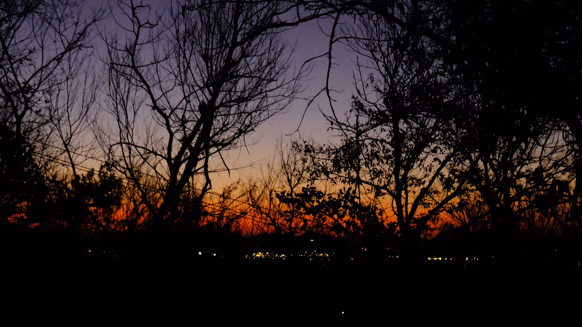 Early morning light breaking through the bare winter treeline on Purple Mountain.
