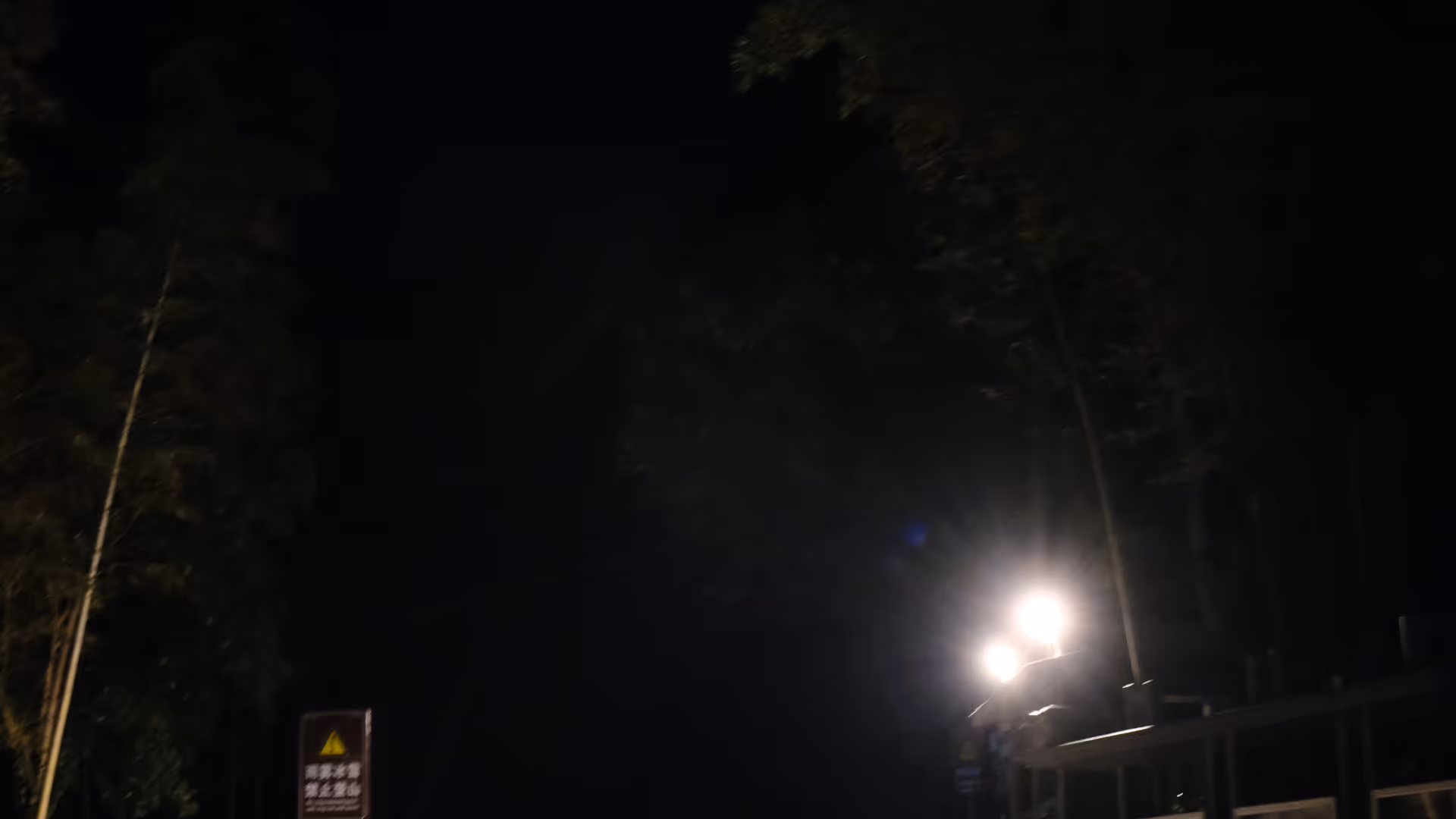A near-pitch-black mountain trail lit only by a single streetlamp at 2am, warning signs visible at the trailhead.