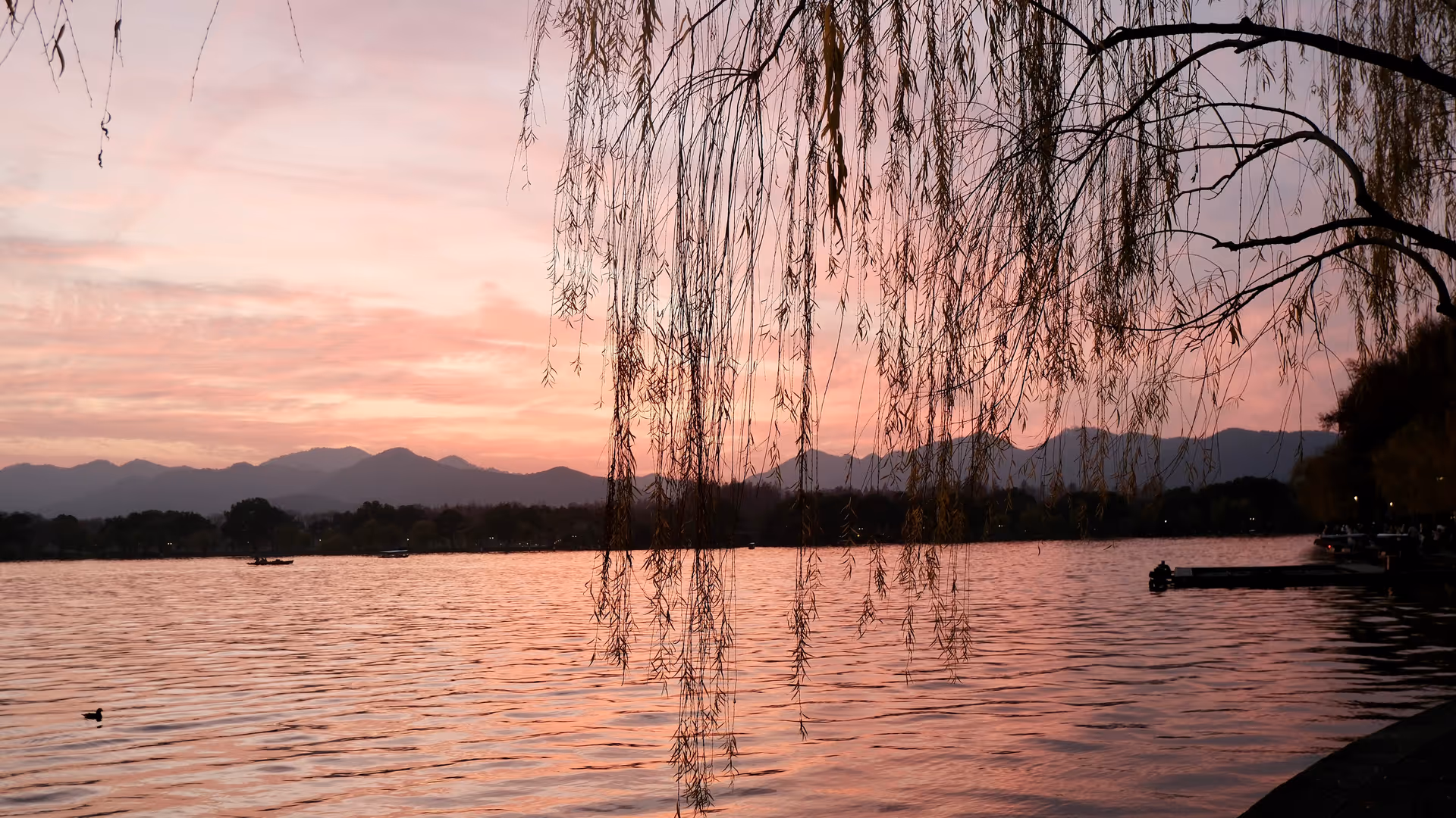 A pink and purple sunset over West Lake in Hangzhou, weeping willow branches hanging over the still water with mountains silhouetted in the distance.